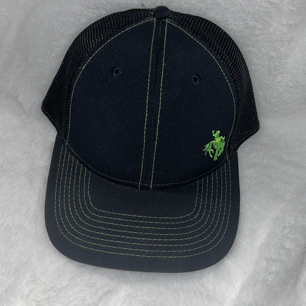 Snap back (Gary Allen)